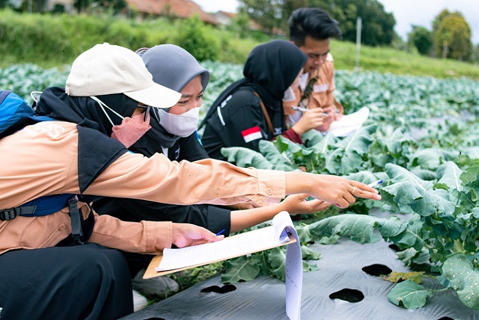 Fakultas Pertanian Adalah: Apa Itu Agroteknologi dan Kelas Karyawan di Bandung