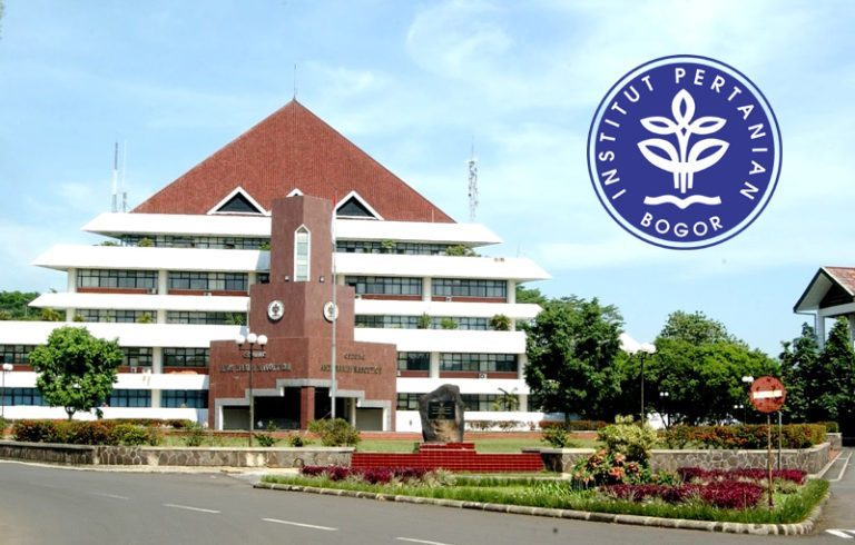 Persiapan Ujian Mandiri IPB: Tes Bahasa Inggris dan Strategi Menjawabnya