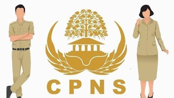 Update Terbaru CPNS: Simulasi Tryout Online Gratis SKD CPNS 2025